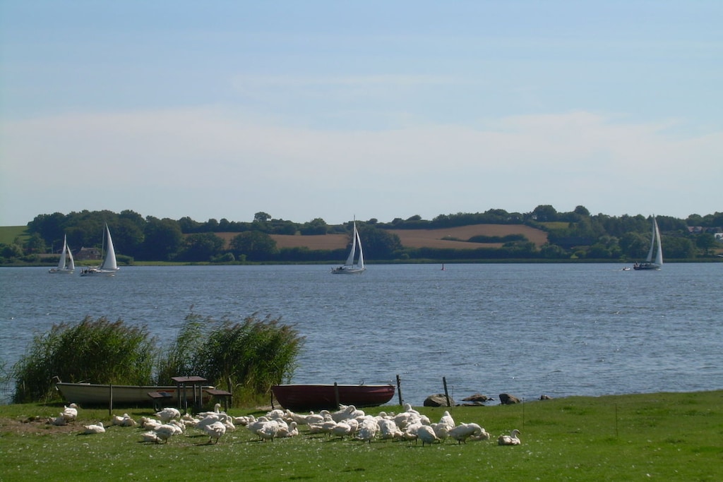 46313 - Niet-getagd