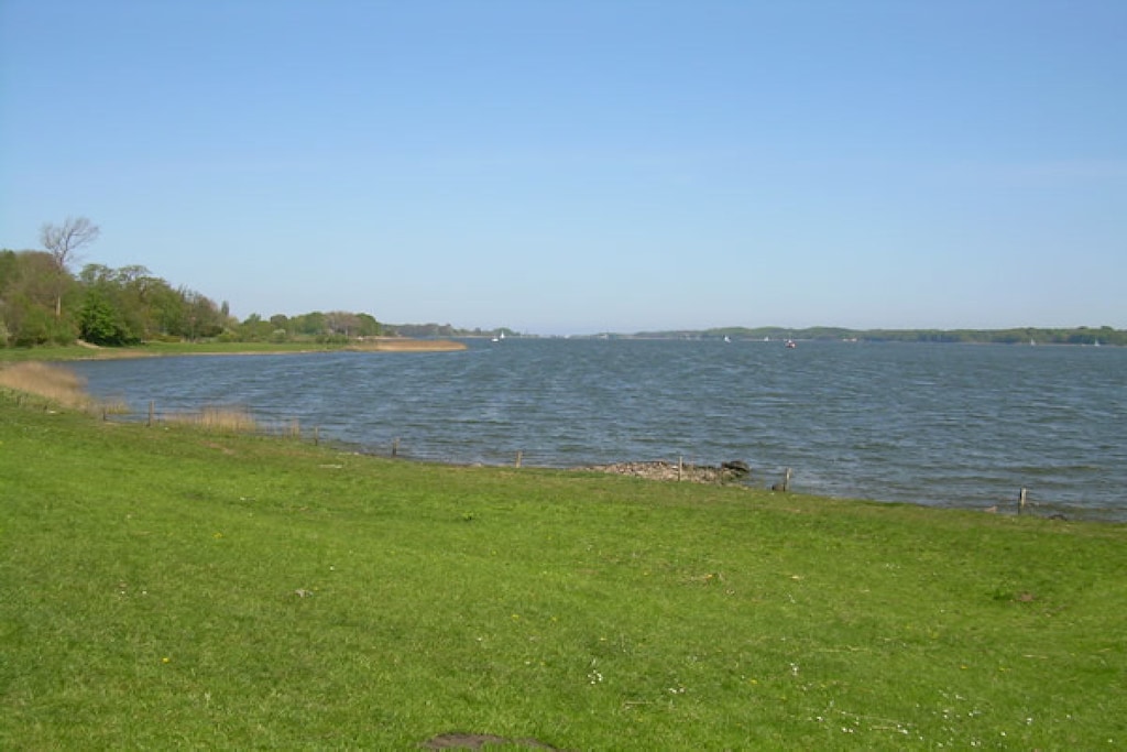 46313 - Niet-getagd