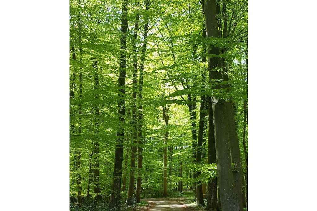 46313 - Niet-getagd