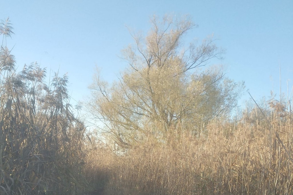 222796 - Niet-getagd