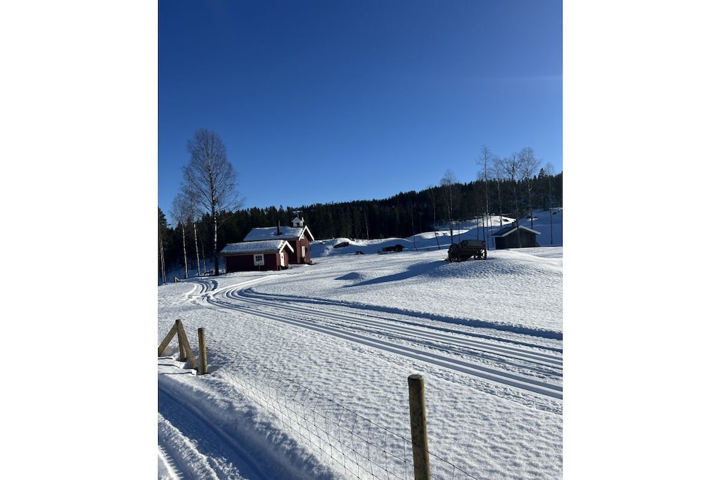 517334 - Niet-getagd