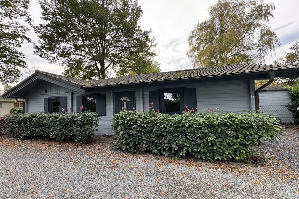 781615 - Niet-getagd