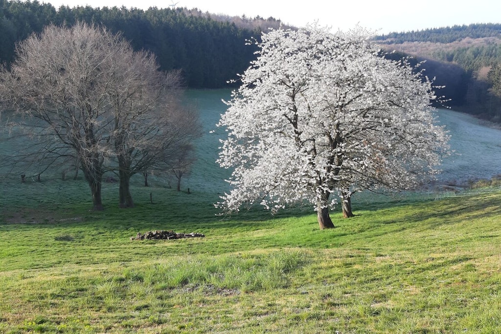 445331 - Nicht zugeordnet