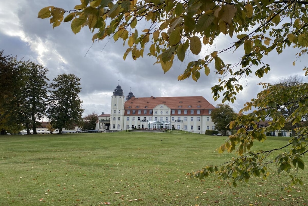 313668 - Nicht zugeordnet