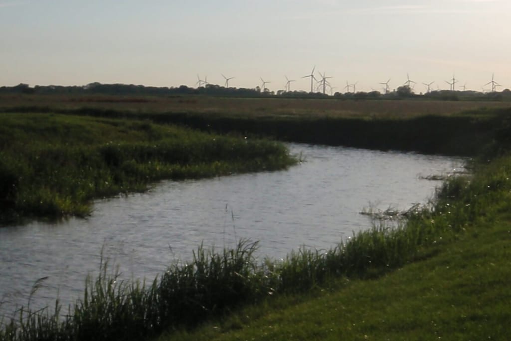 65344 - Niet-getagd