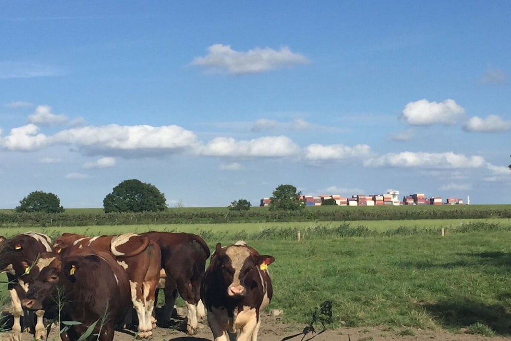 65344 - Niet-getagd