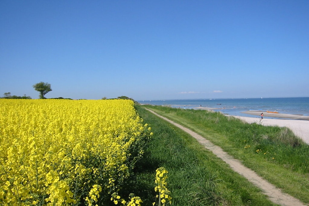 164509 - Niet-getagd