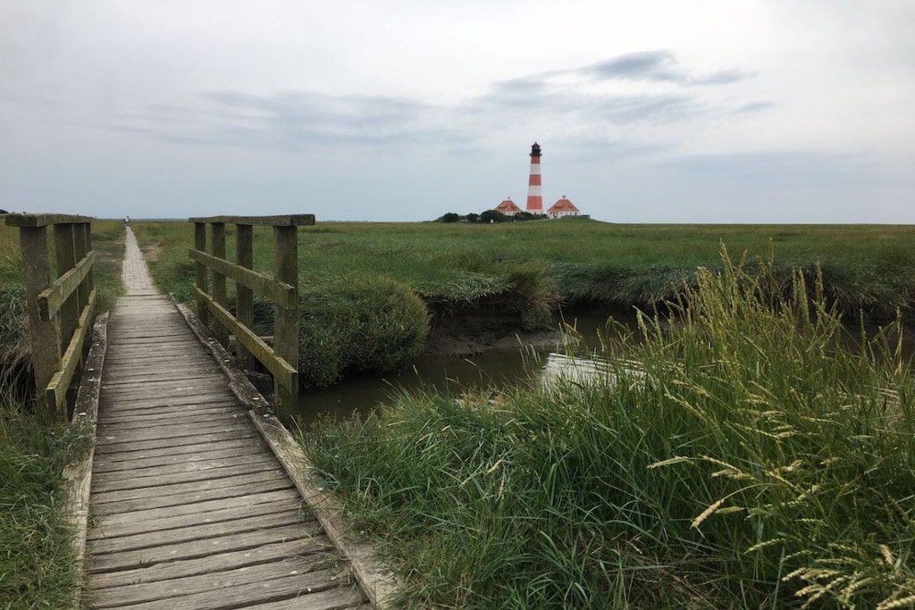 89666 - Niet-getagd