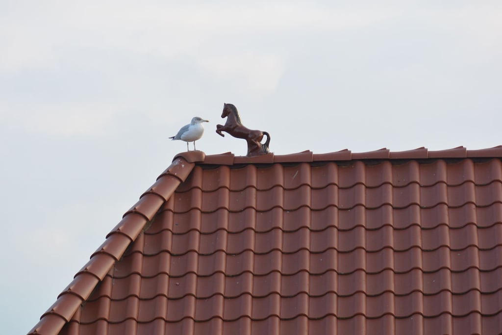 216073 - Niet-getagd