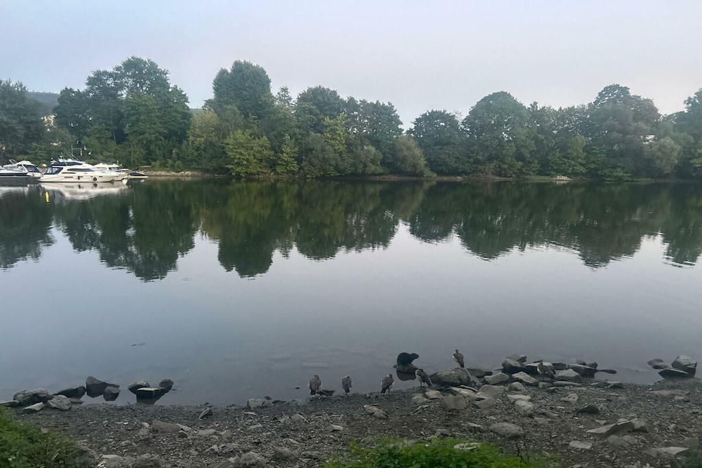 636518 - Niet-getagd