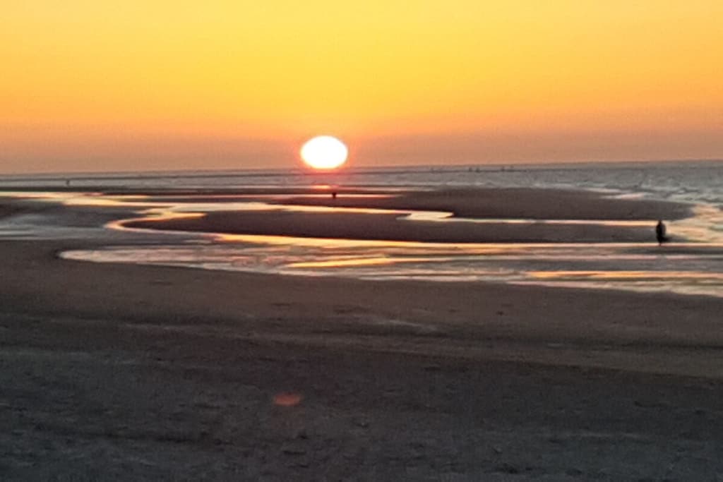 474945 - Niet-getagd