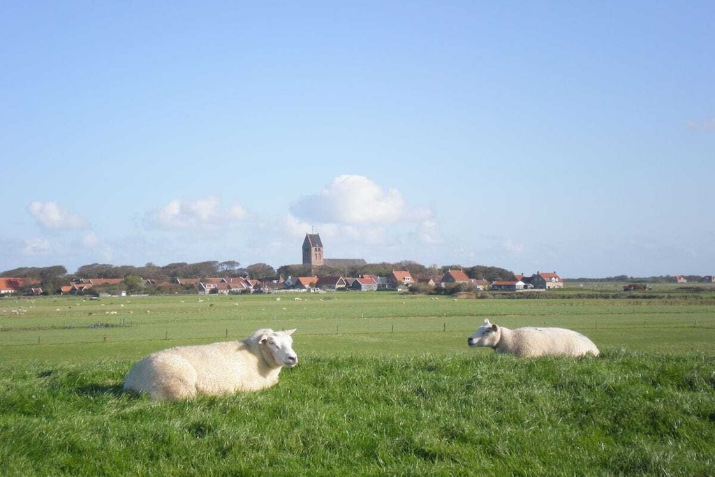 116328 - Niet-getagd