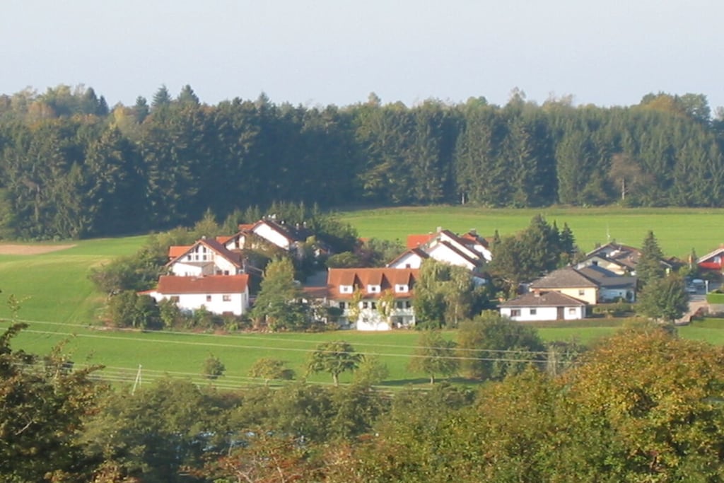 16799 - Non tagué