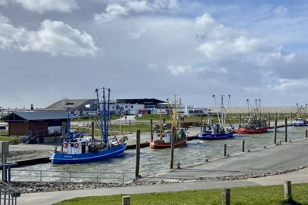 123753 - Niet-getagd
