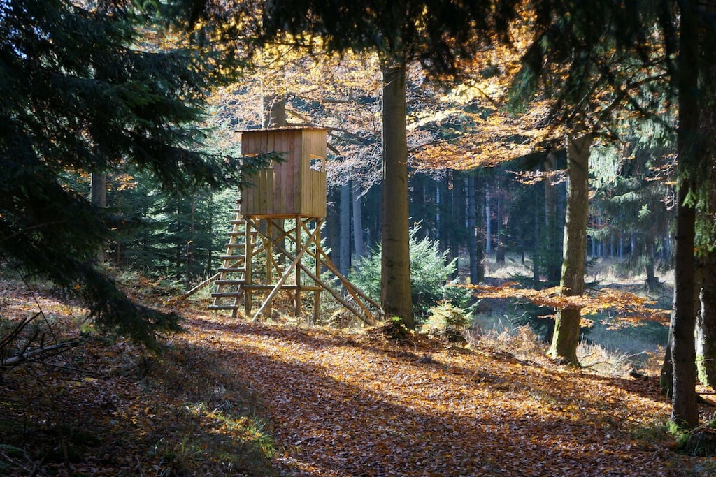 3953 - Nicht zugeordnet