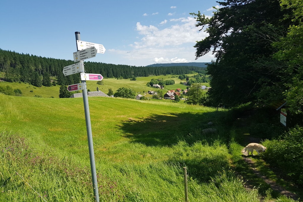 317564 - Niet-getagd