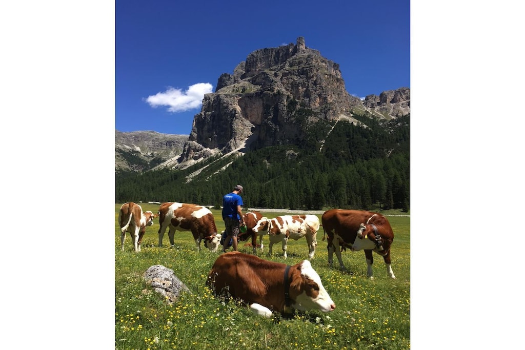 71808 - Non tagué