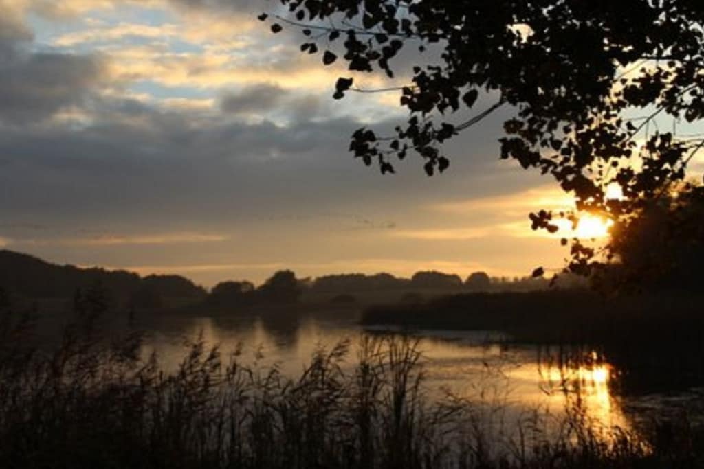 118147 - Niet-getagd