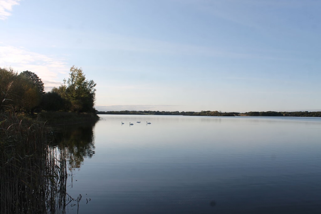 118147 - Niet-getagd