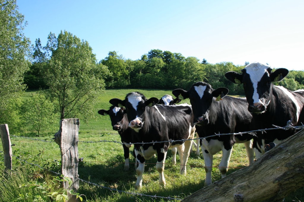72561 - Niet-getagd