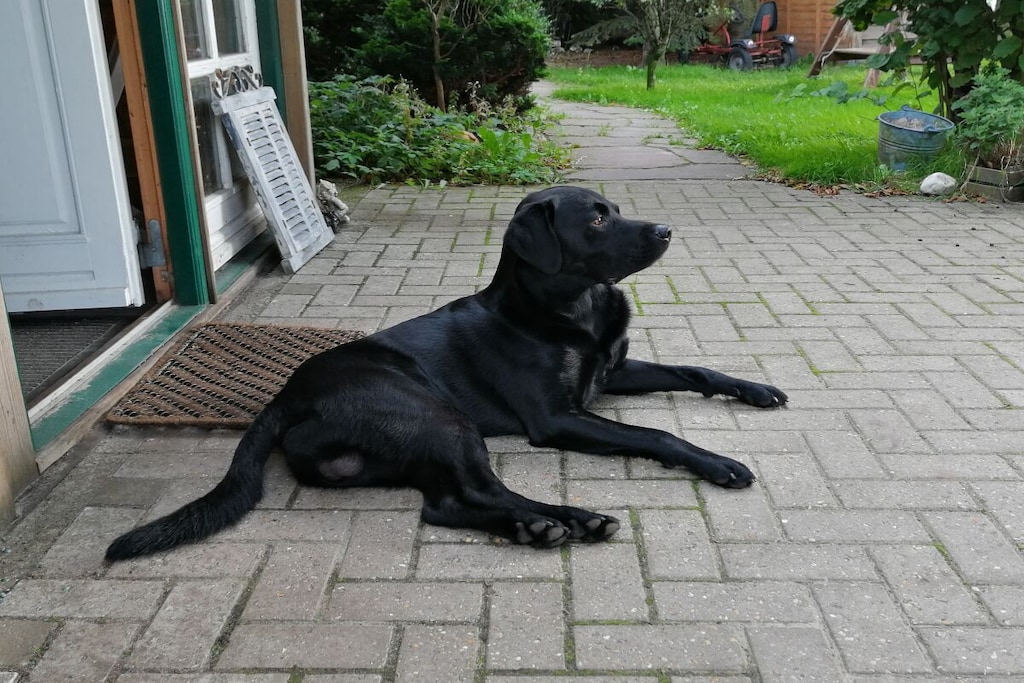 38809 - Niet-getagd