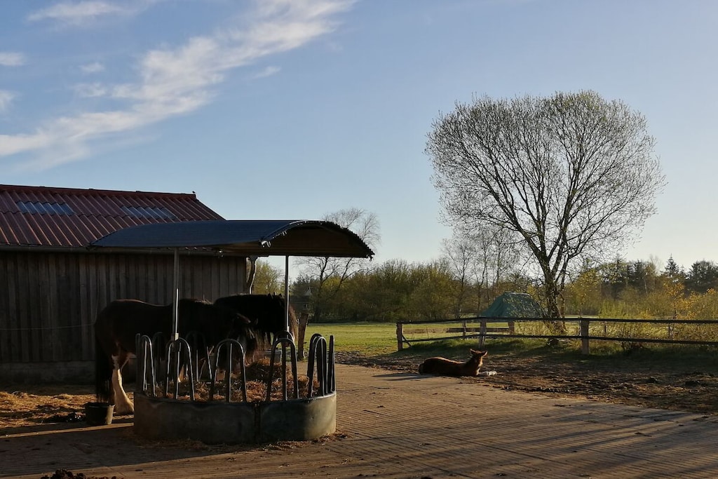 38809 - Niet-getagd