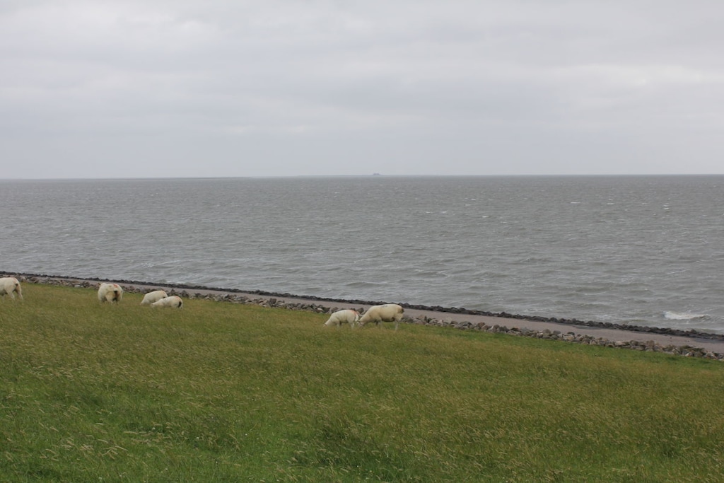 38809 - Niet-getagd