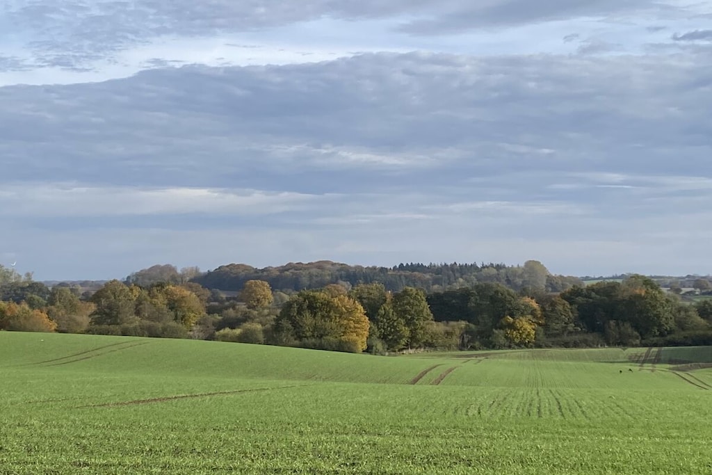340881 - Nicht zugeordnet