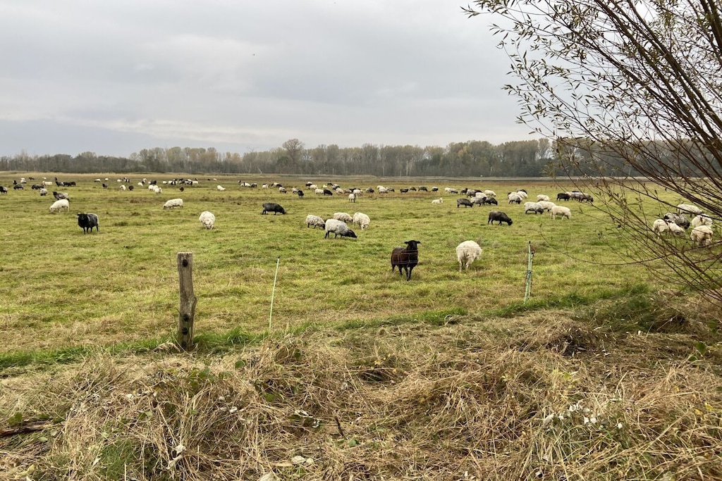 457964 - Niet-getagd