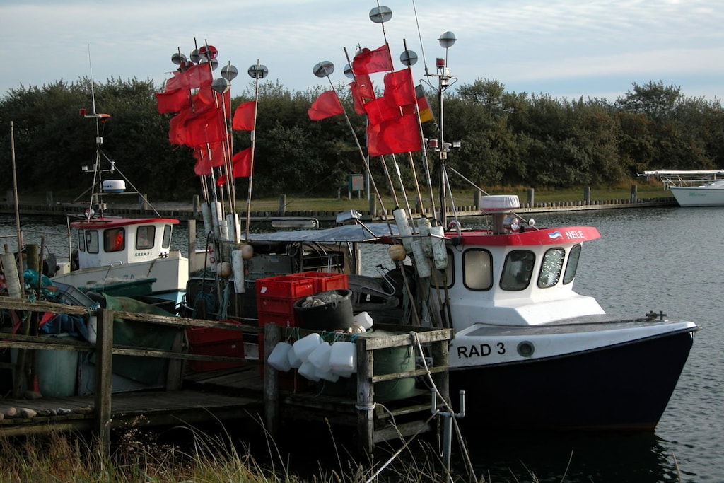34366 - Niet-getagd