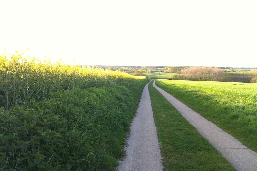 34366 - Niet-getagd
