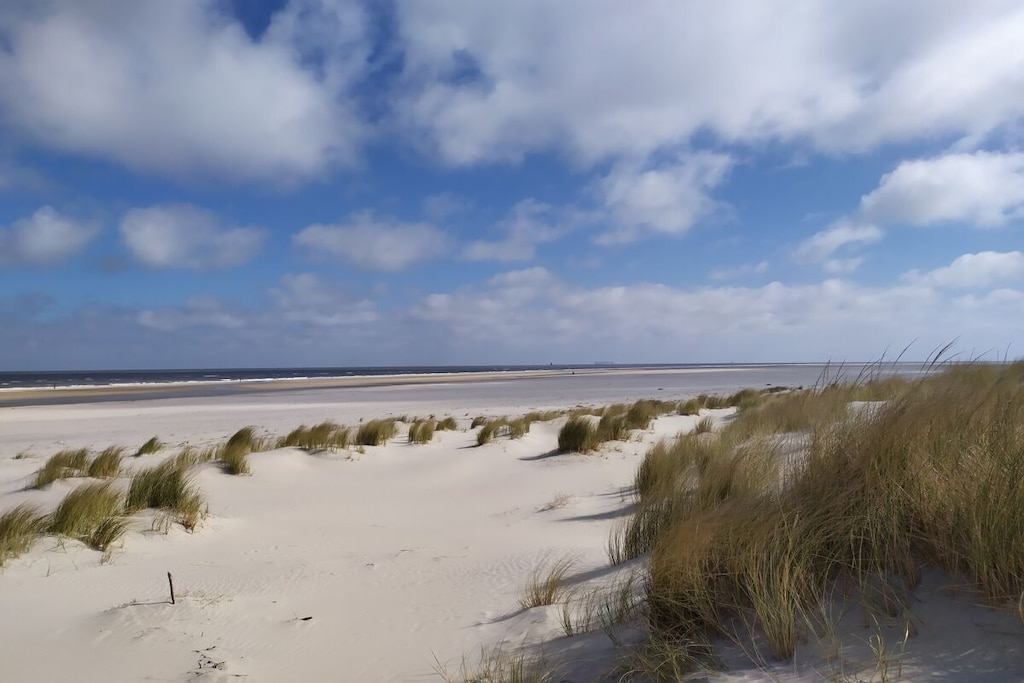 123291 - Niet-getagd