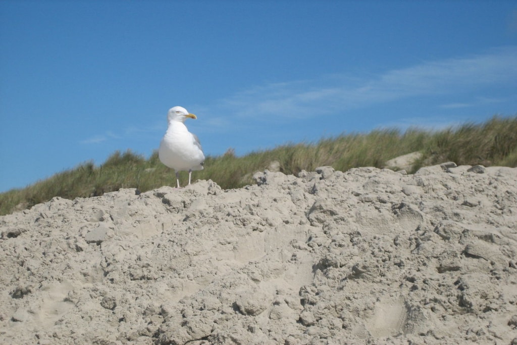 197332 - Niet-getagd