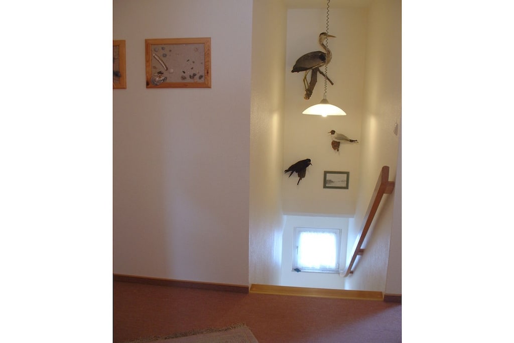 93368 - Niet-getagd