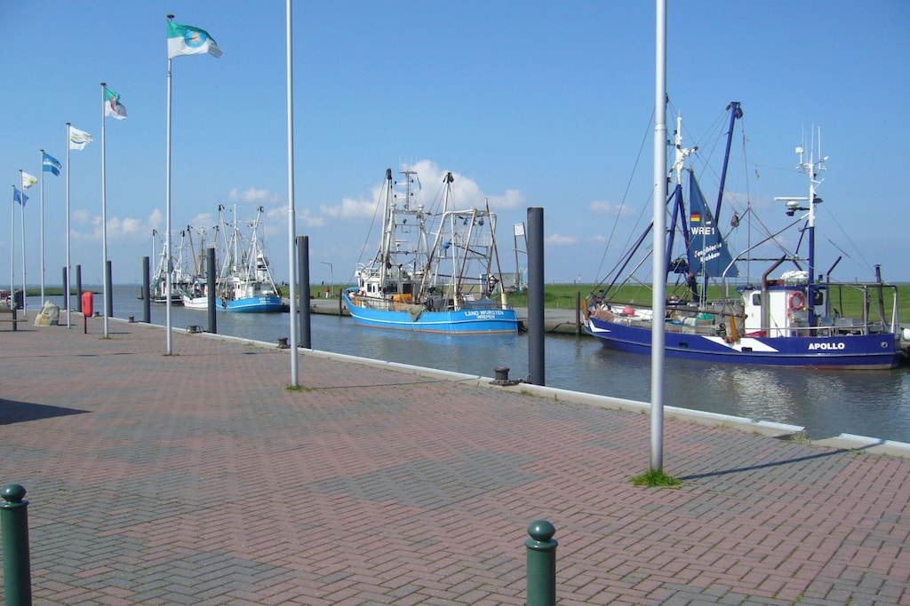 218668 - Niet-getagd
