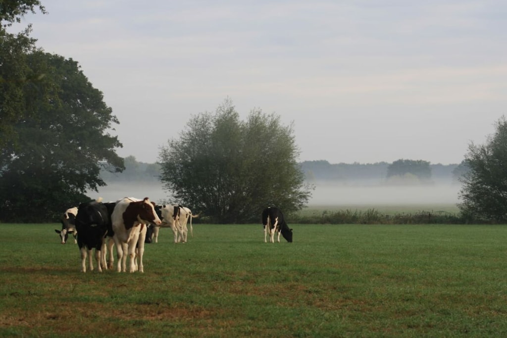 467991 - Niet-getagd