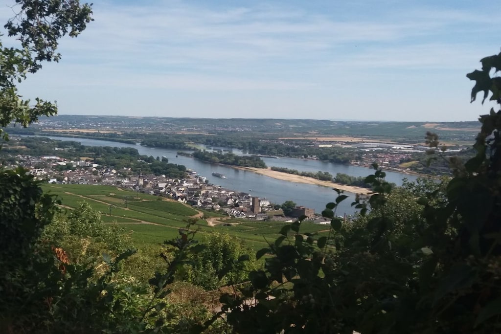 142941 - Untagged