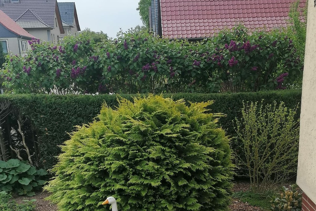 128576 - Niet-getagd