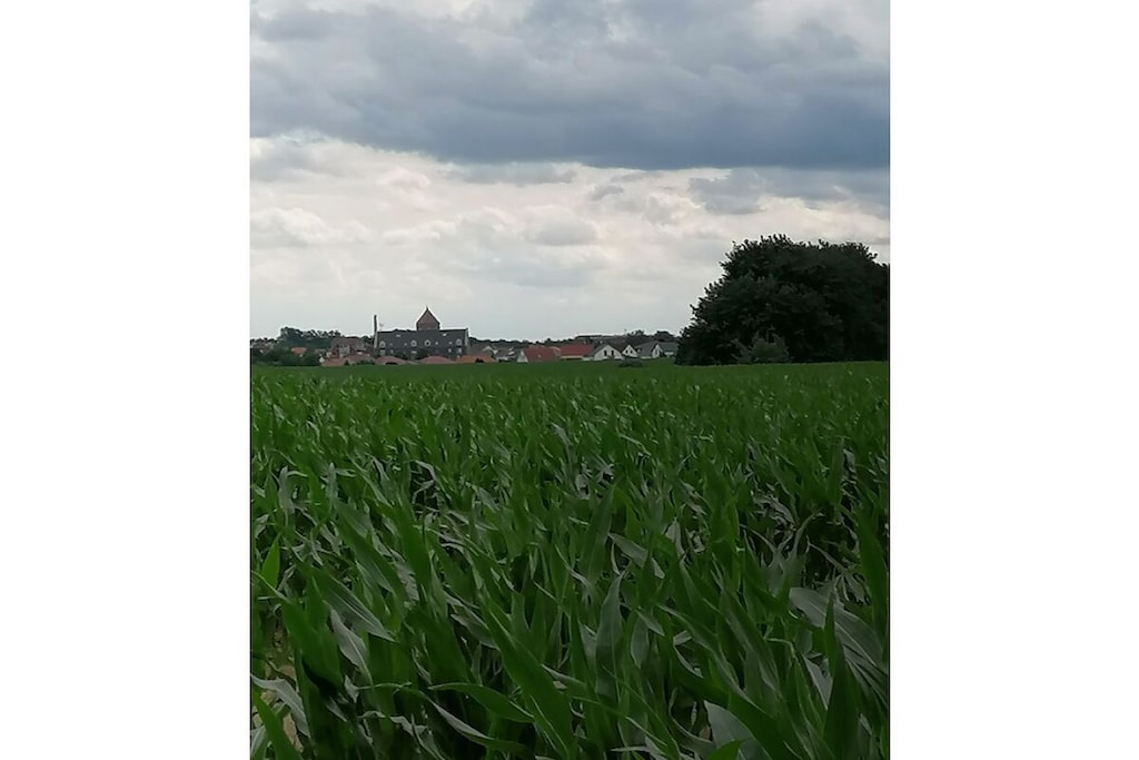 128576 - Niet-getagd