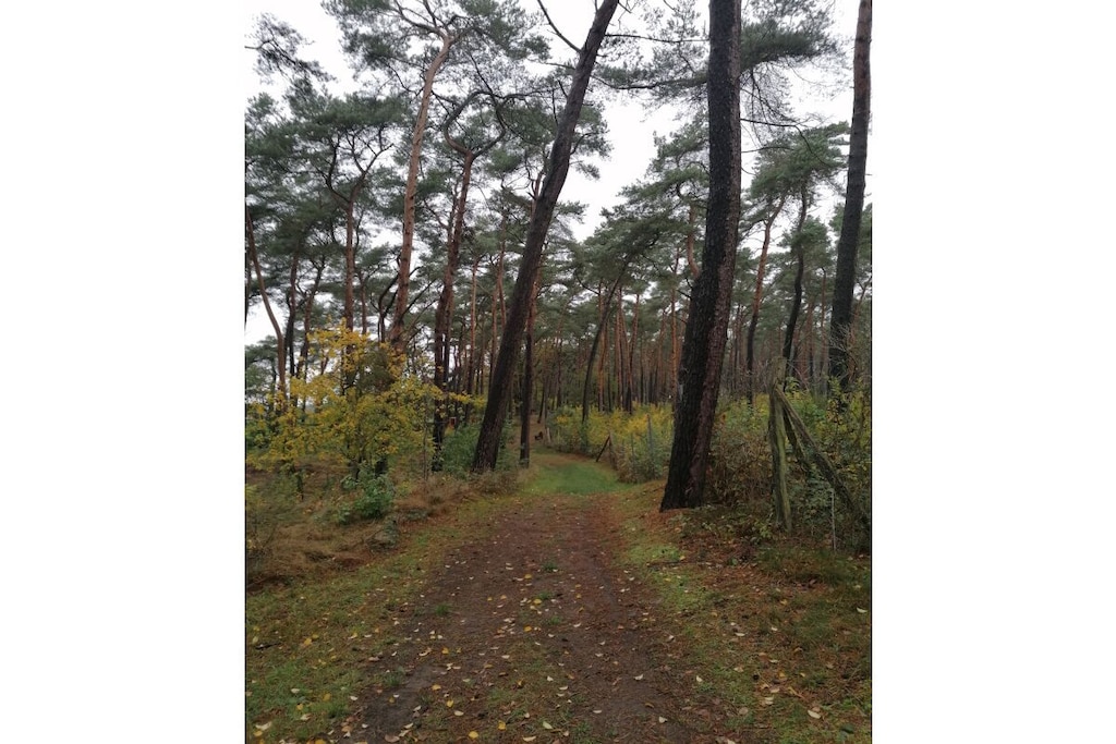 128576 - Niet-getagd