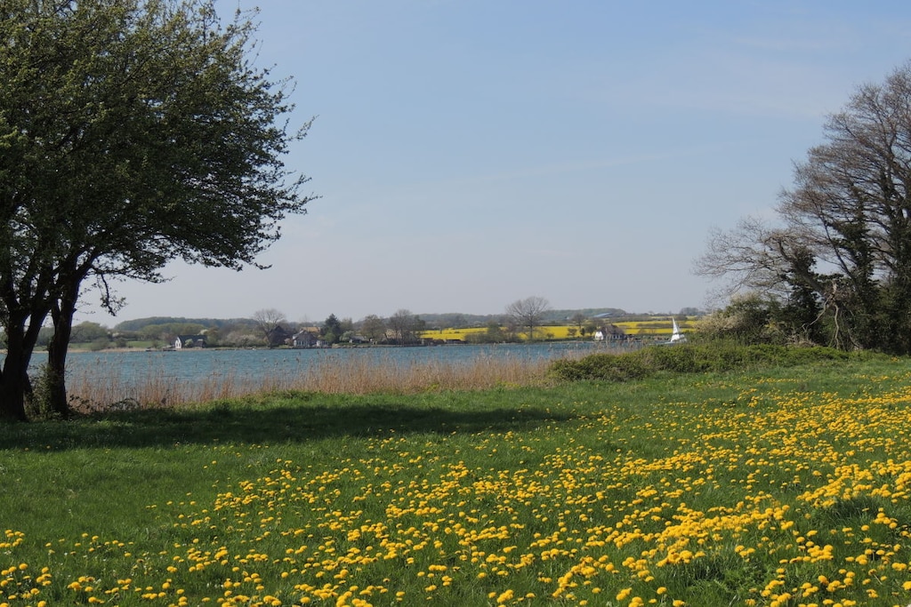 244785 - Niet-getagd
