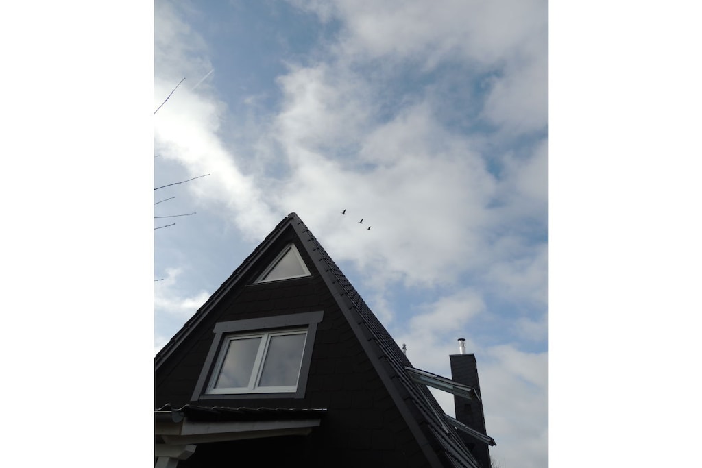 244785 - Niet-getagd