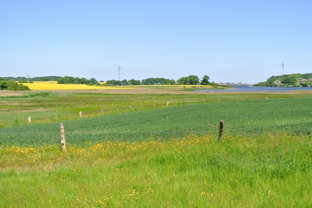 561856 - Niet-getagd
