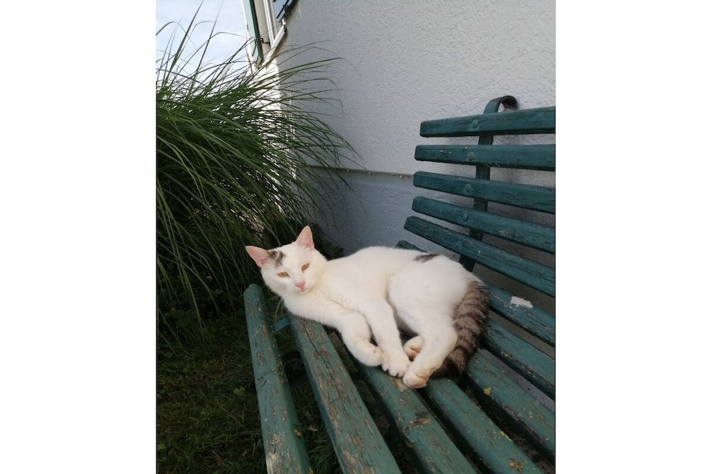303746 - Niet-getagd