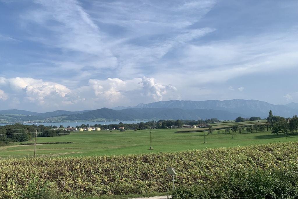 546014 - Nicht zugeordnet