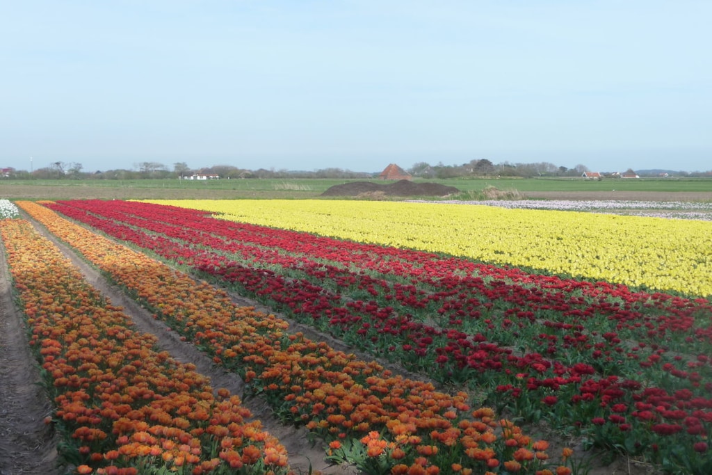 238393 - Niet-getagd