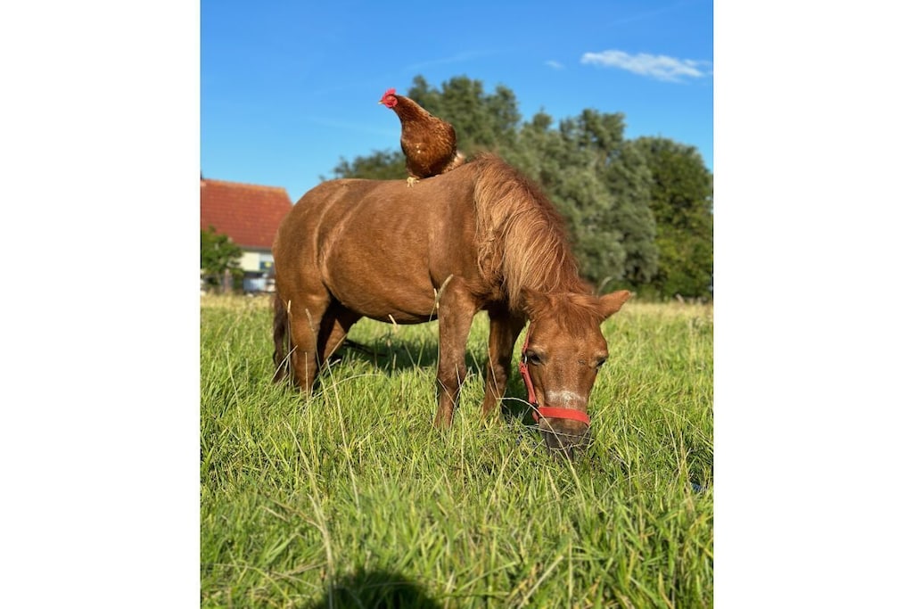 240376 - Niet-getagd