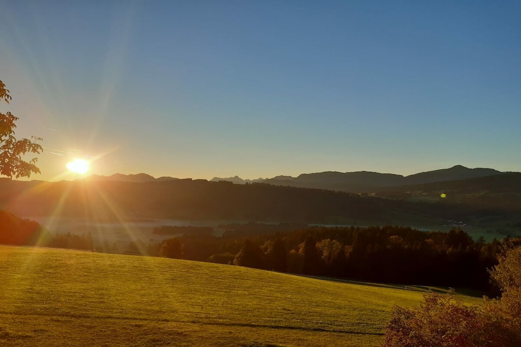29224 - Niet-getagd