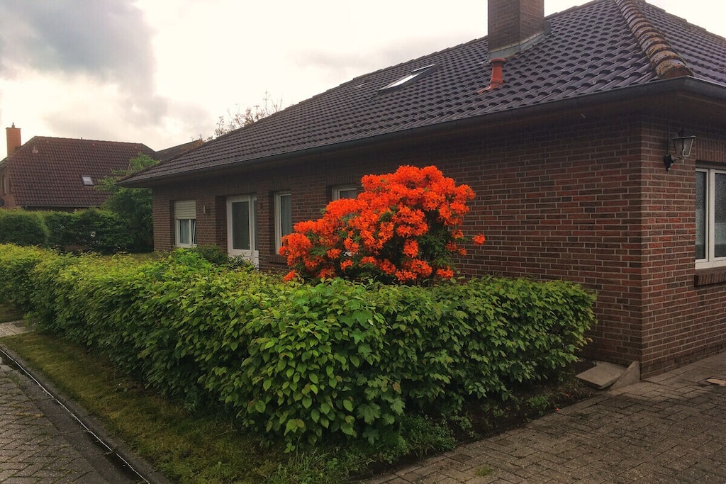380976