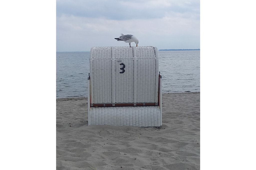 45518 - Niet-getagd